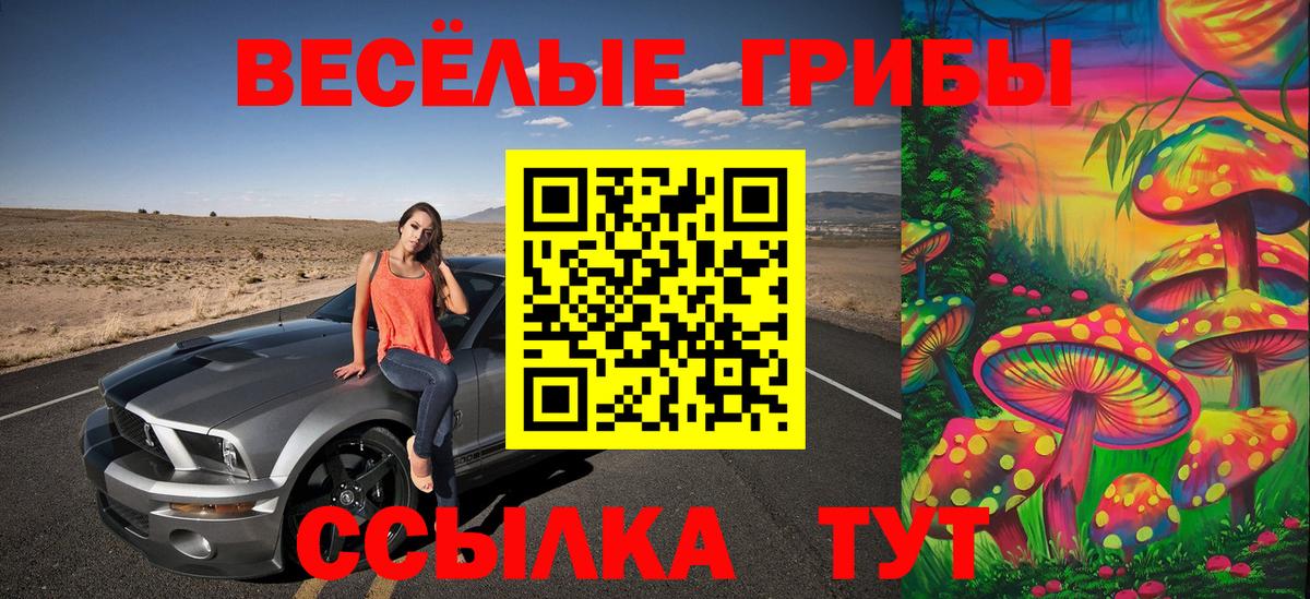Псилоцибиновые грибы мухоморы  Вход с VPN  Псилоцибиновые грибы мухоморы  Кизилюрт 